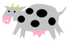 Cow Image